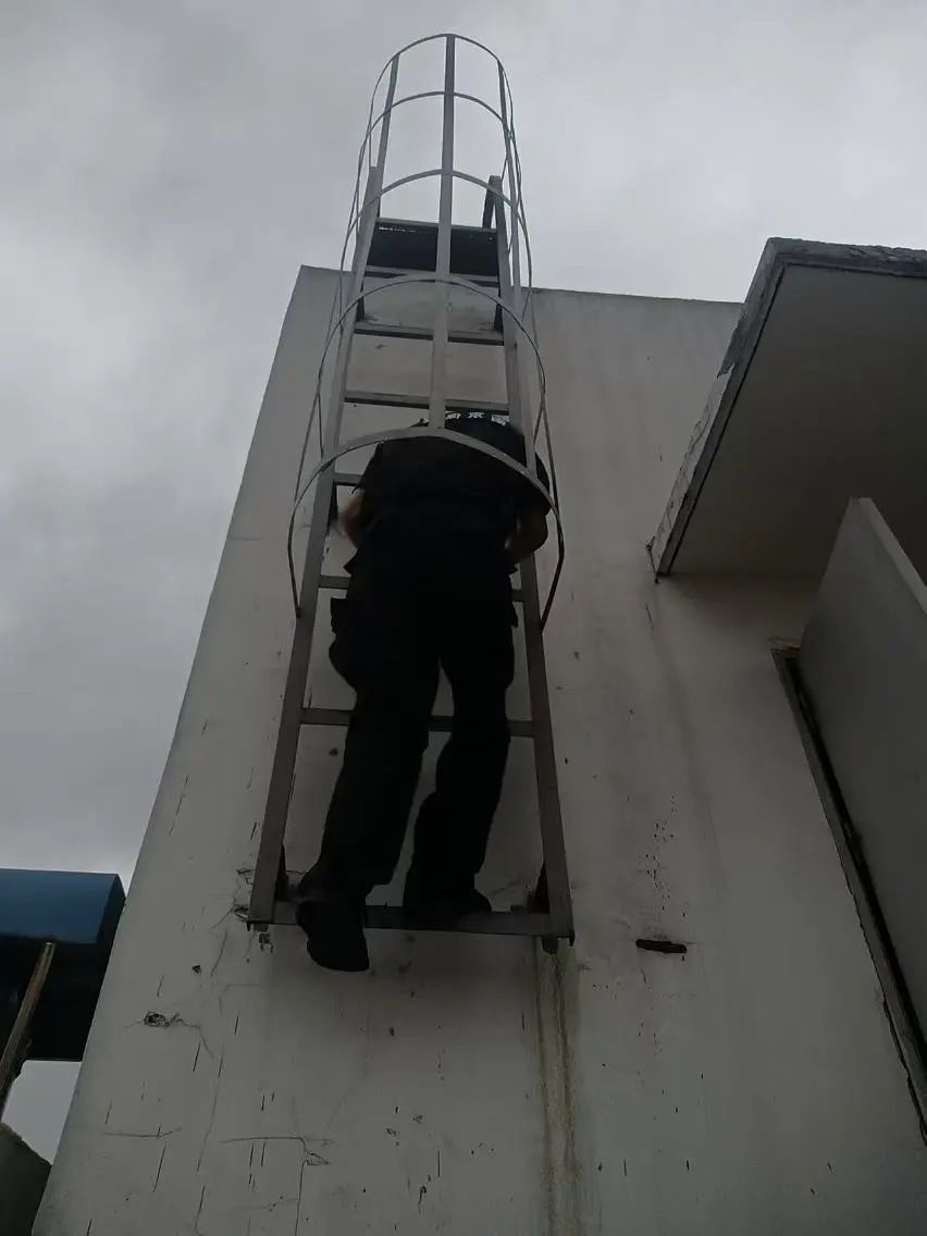 C:/Users/BA/Desktop/風(fēng)雨過后南京保安迅速行動(dòng)，恢復(fù)安“寧”面貌/3.jpg3